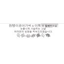 씨쏘 이미지