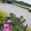 펜션 리버사이드 이미지