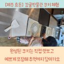 감귤박물관 | 제주 효돈 감귤박물관 옆, 달콤한 쿠키 만들기 체험 후기