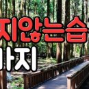 마나스힐링센터 이미지