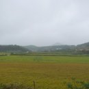 풍천제방길 티스토리