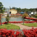 폰타나리조트 이미지