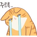 대전실내크리닝 에바크리닝 아우라광택 손세차 이미지