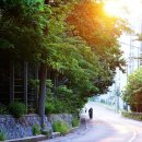 세븐일레븐 종암고대점 이미지