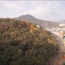 흥화공인중개사사무소 이미지