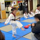 사랑 태권도 이미지