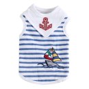 오로라펫 이미지