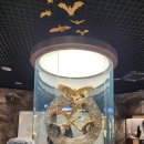 황금박쥐생태관 옆 이미지