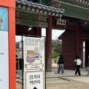 채화 | 2026 궁중문화축전 궁중새내기 후기 (궁중채화💐)