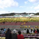 괴산종합운동장 이미지