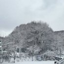 평창숲펜션 | 찐 도심 탈출! 힐링 그 자체였던 평창 '숲과 개울' 펜션 후기