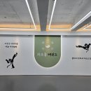 다짐태권도장 이미지