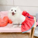 디어뚜뚜 이미지