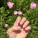 네일 팔레트(Nail palette) | [안양] 바론네일&속눈썹_7월 이달의아트 자석그라데이션네일 후기💅🏻 범계역네일맛집