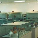 도기박물관 이미지