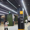 합정릴리펏 | 마포 합정 키즈카페 릴리펏 메세나폴리스점 방문 후기