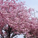 선동1리경로당 이미지