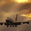 골든버터플라이 이미지