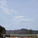 행복다육 - 공주시 동학사1로 63 | 강원도 식물 매장 방문후기 : 행복을 주는 다육이<다육식물>