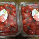 제로마진유통 이미지