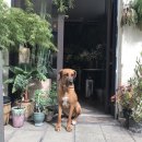이쁜새민박