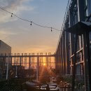 노보텔 앰배서더 서울 동대문 호텔 이미지