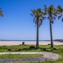 해비치풍경 이미지