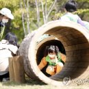 영산강대상근린공원 유아숲체험원 이미지