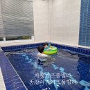 키즈풀빌라똥강아지 이미지