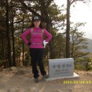 용봉초교 이미지