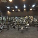 팀바디매스 이미지