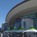 2026 데이비스컵 부산 직관 다녀온 생생한 후기