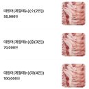 팔딱팔딱횟집 | 전포 팔딱팔딱횟집 | 현지인 횟집 맛집 내돈내산 | 포장, 웨이팅 후기 있음