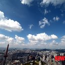 푸른하늘 이미지