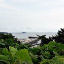 서천 다사항 펜션 이미지