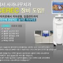 나무 기공소 이미지