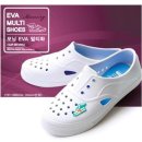 모닝글로리 이미지