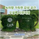 송악리조트 | 서귀포 오설록 티뮤지엄 | 제주 가을 여행 추천 코스