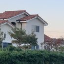 생활의 향기 이미지