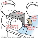 세상이개 | 세상이 맑아진 후기🤩