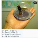 입허전 - 1293 | 입허전
