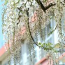 무안북중학교 이미지