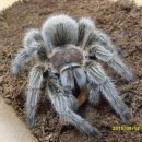 헤어로즈 이미지