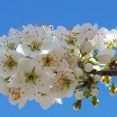 사랑방농원 이미지