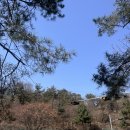 CU사직로점 | 인왕산 등산 후기 - 26년 봄