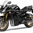 2010 Yamaha FZ1 FAZER 이미지