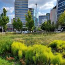 종로꽃조경