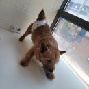 몽꾸르펫트하우스 이미지