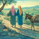 [시민제안강좌] 신화로 읽는 고대 지중해 역사 | 룻기 서론