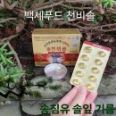 건강백세(100%) | 송침유 솔잎 기름 백세푸드 천비솔